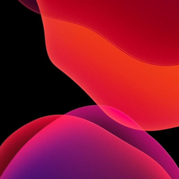蝶变科美工作室
