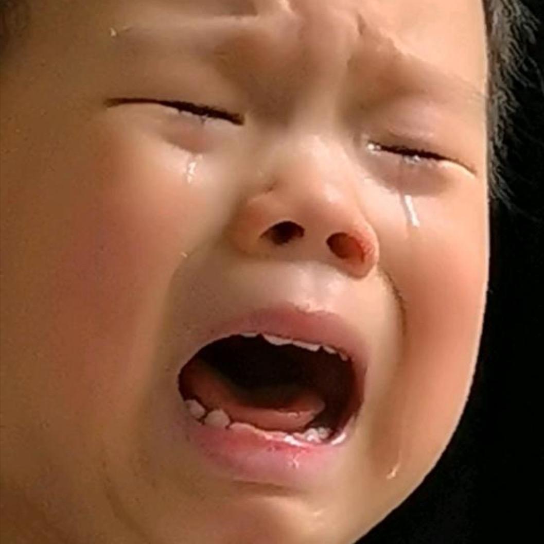 赵村长