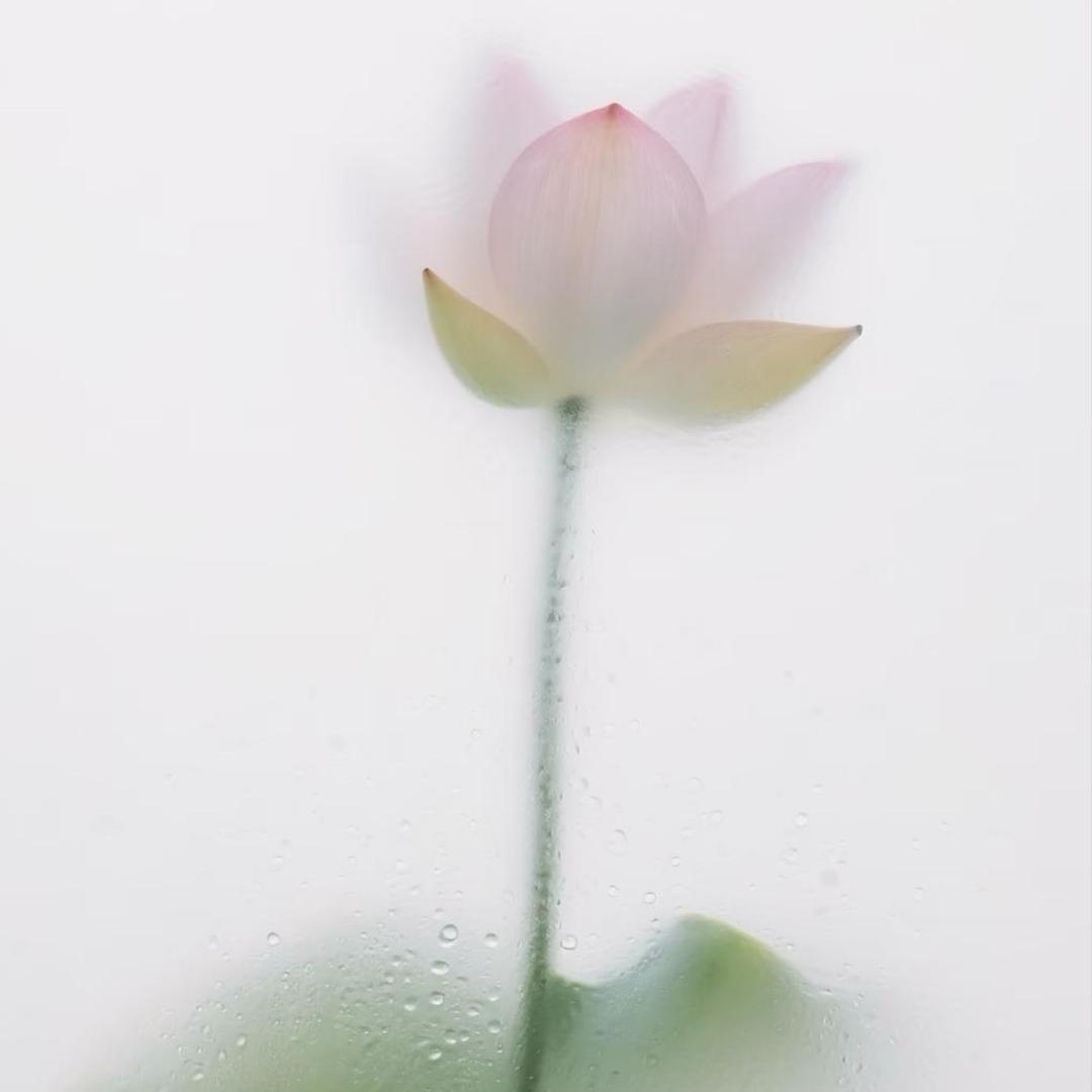 Wan～