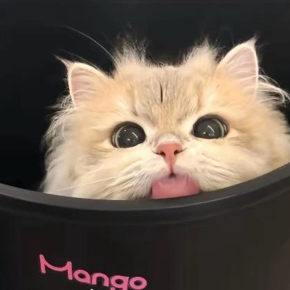 粥粥粥