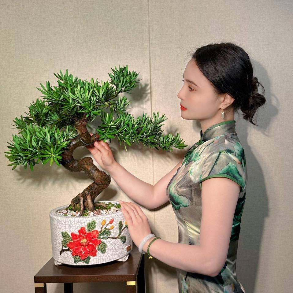 景之初园艺