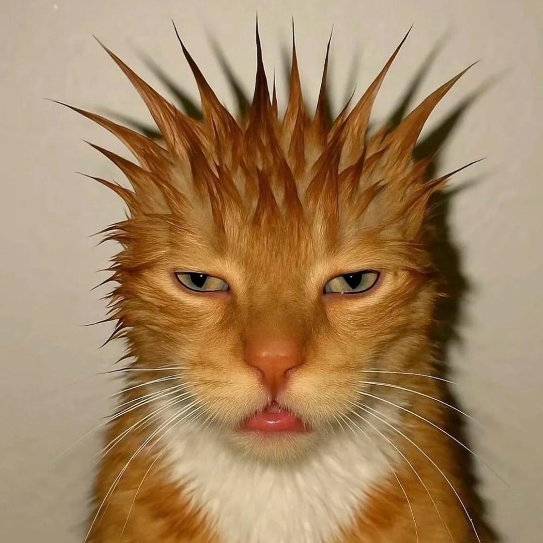 特特特