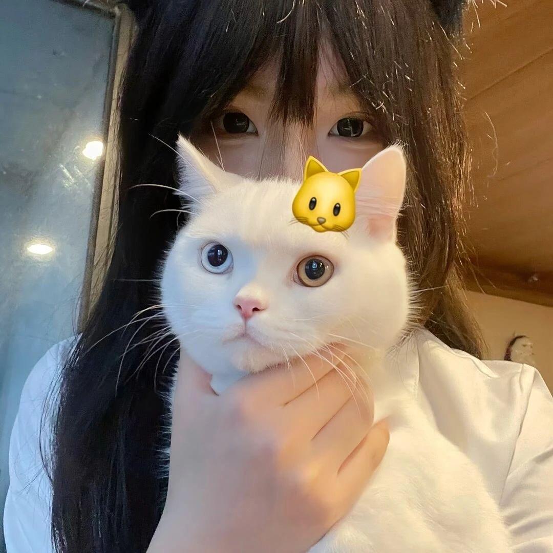 𝗣𝗰𝗰𝗲𝗶𝗼