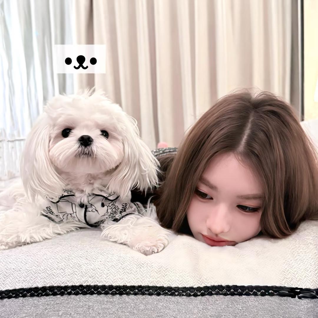 阿琴🧸