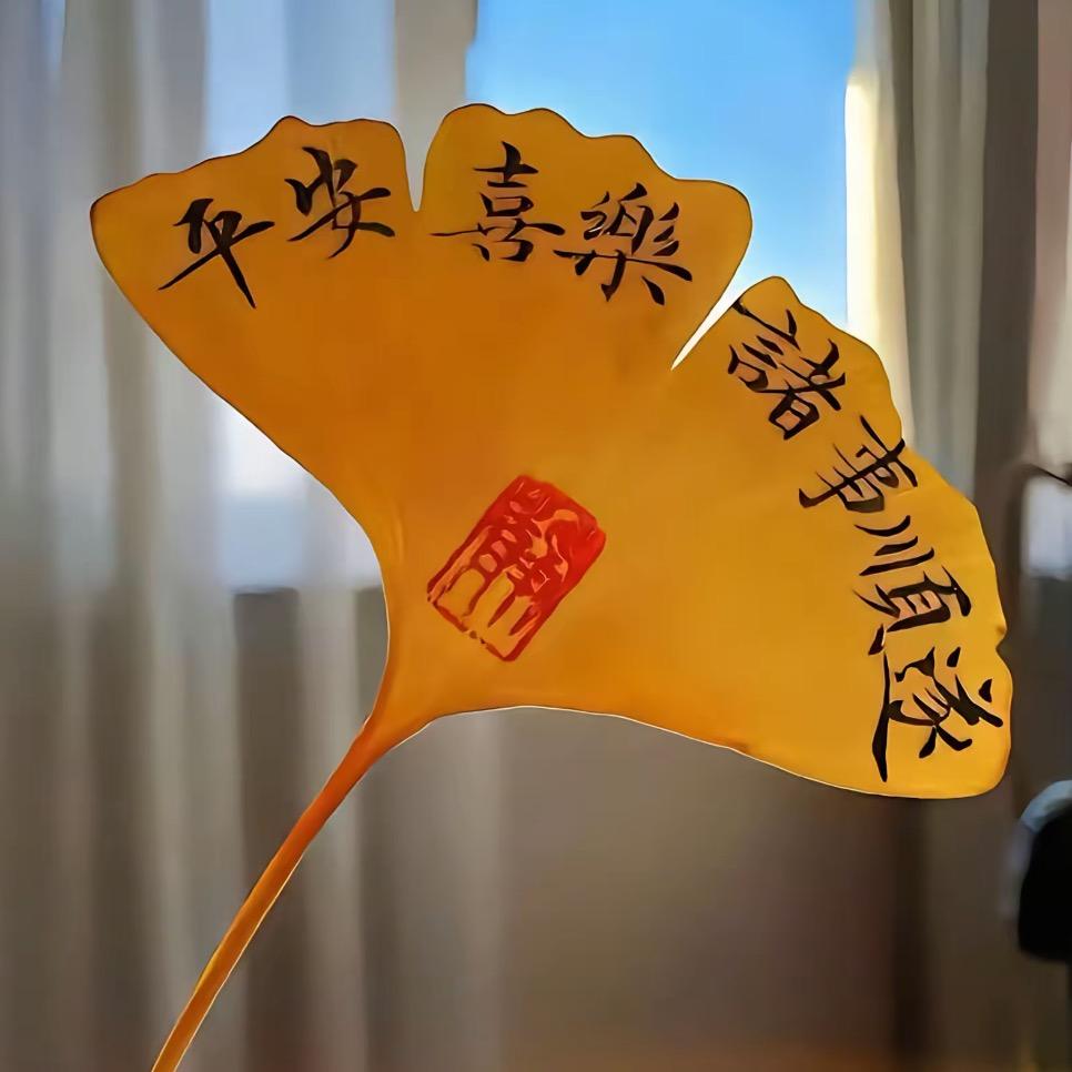 柒柒、