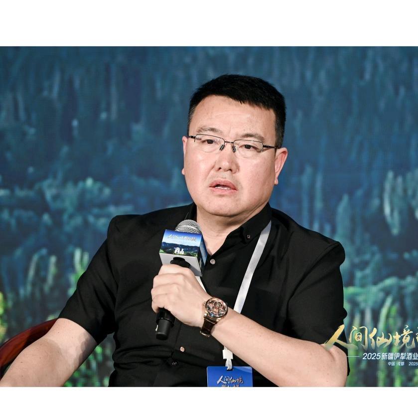 艾尼大叔