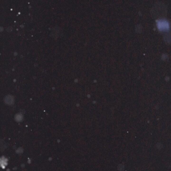81073205481