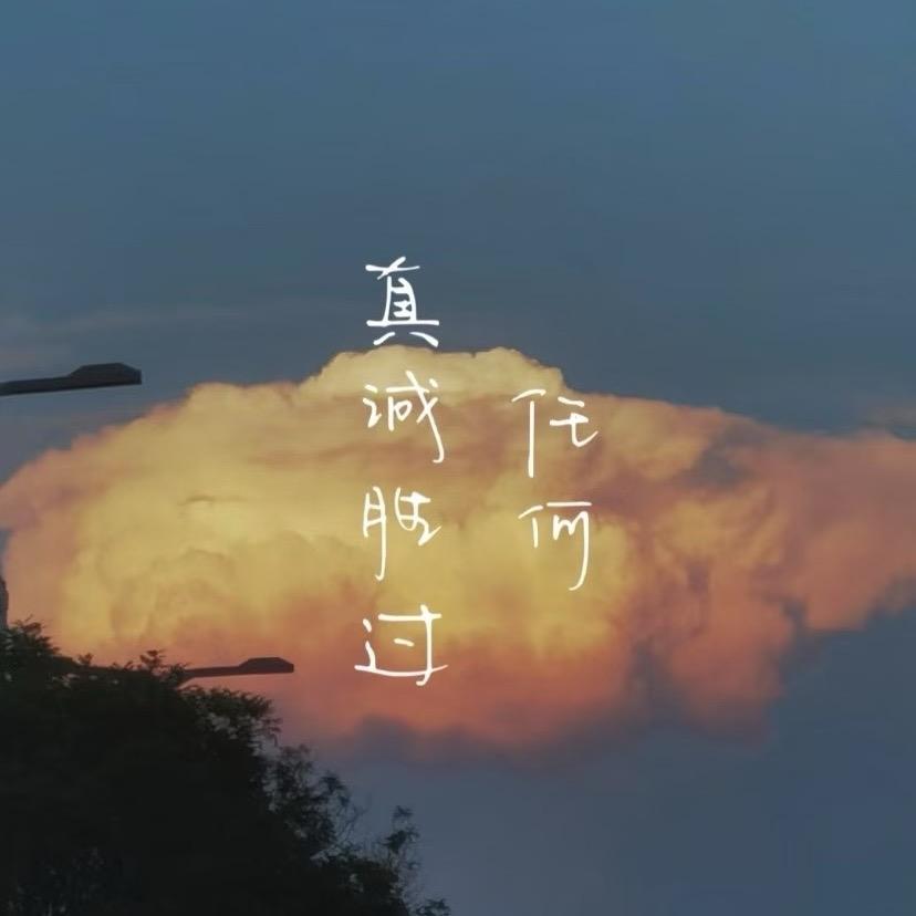 上岸哥（痘坑已完美上岸）