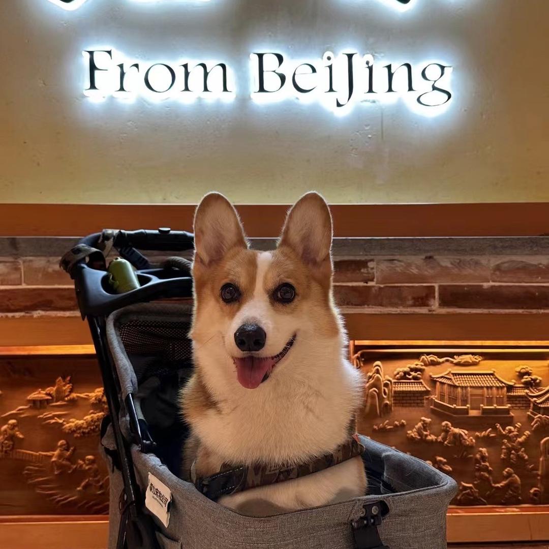 小陆乱撞