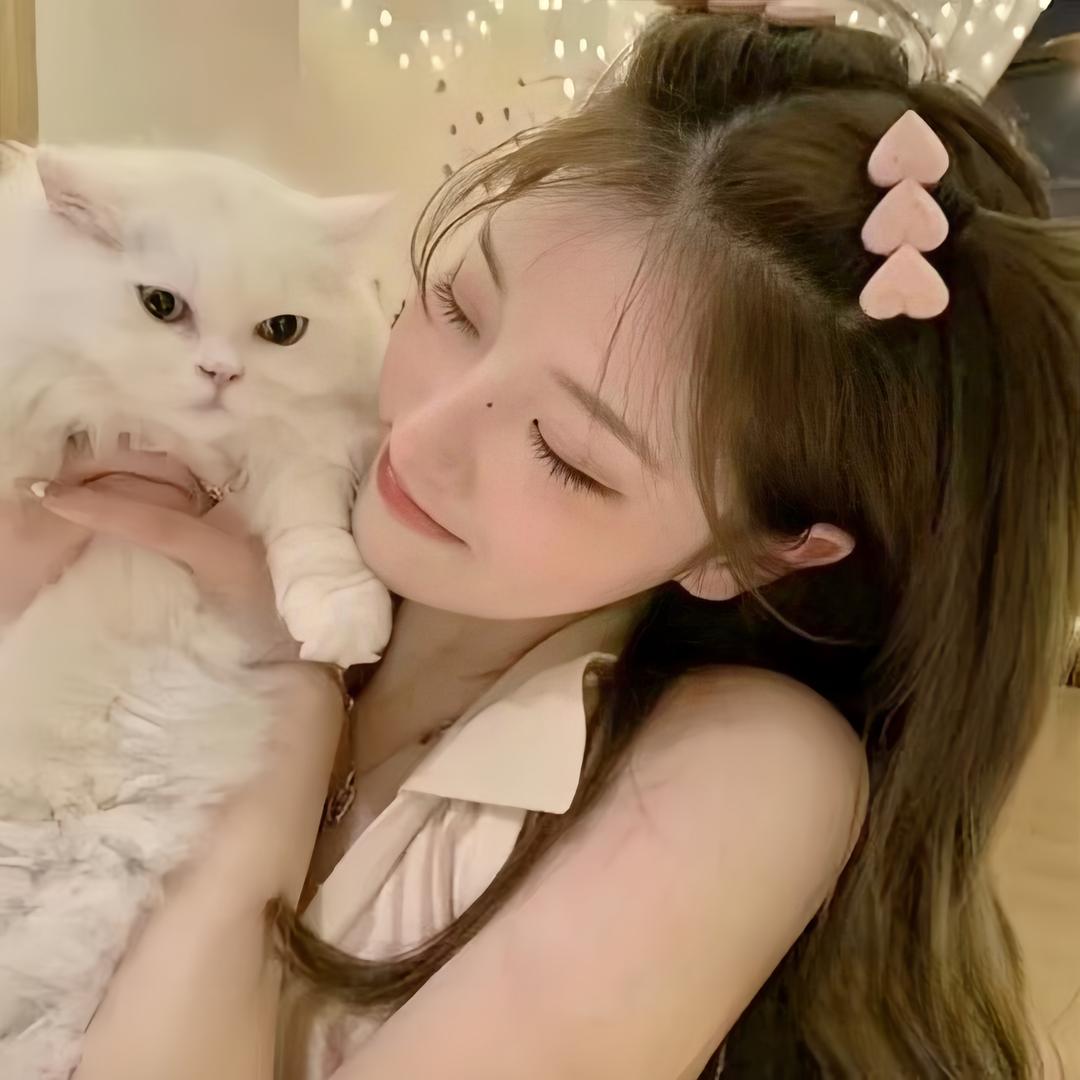 糖糖猫