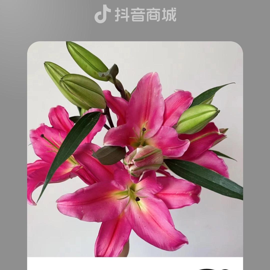 陈益文