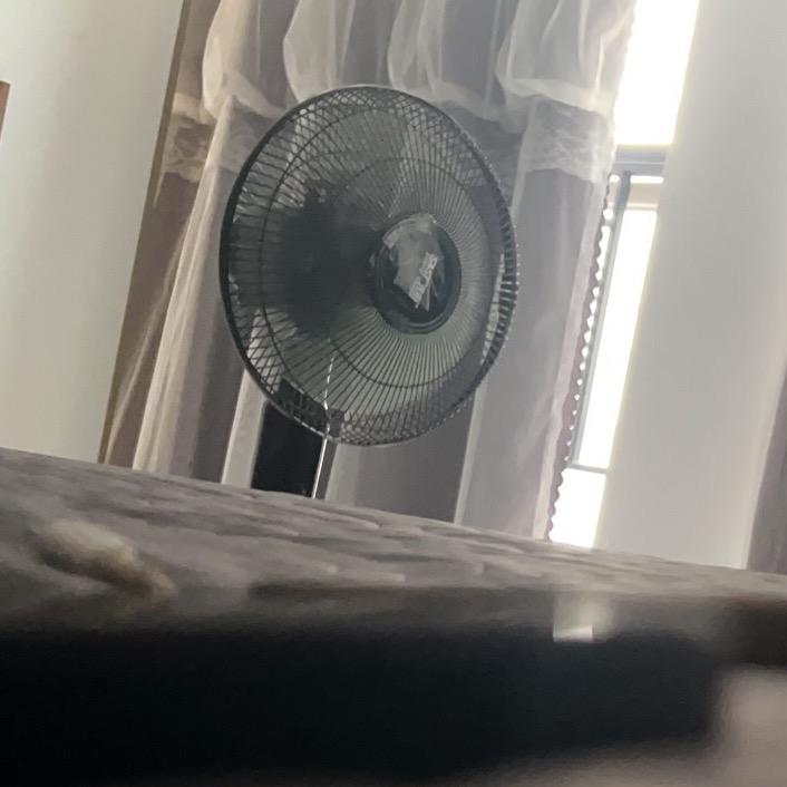 达一希文直播号