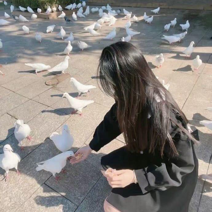 ·  ᥫᩣ   ゛