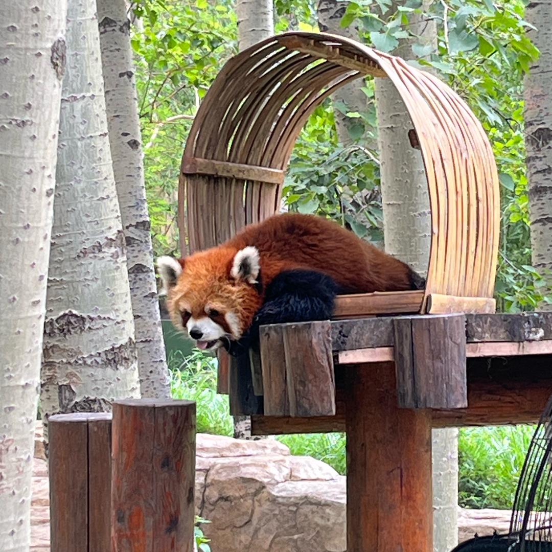 有个不爱吃🍆的宝