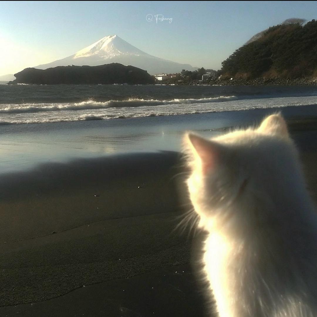 邪恶大喷菇🦴♾️