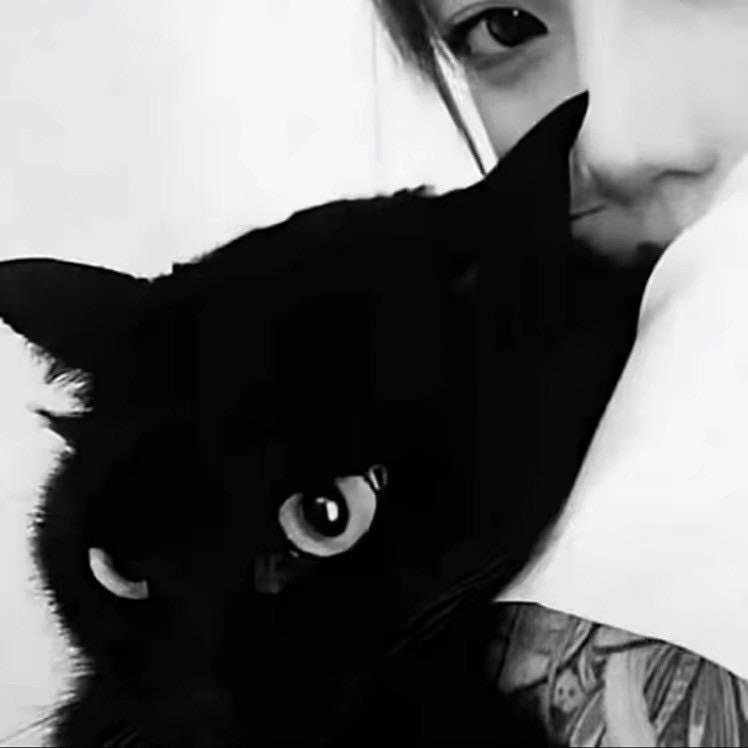 🕊️