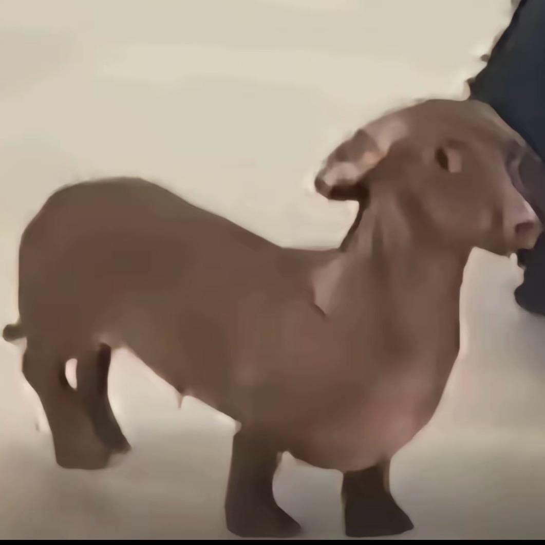 张安