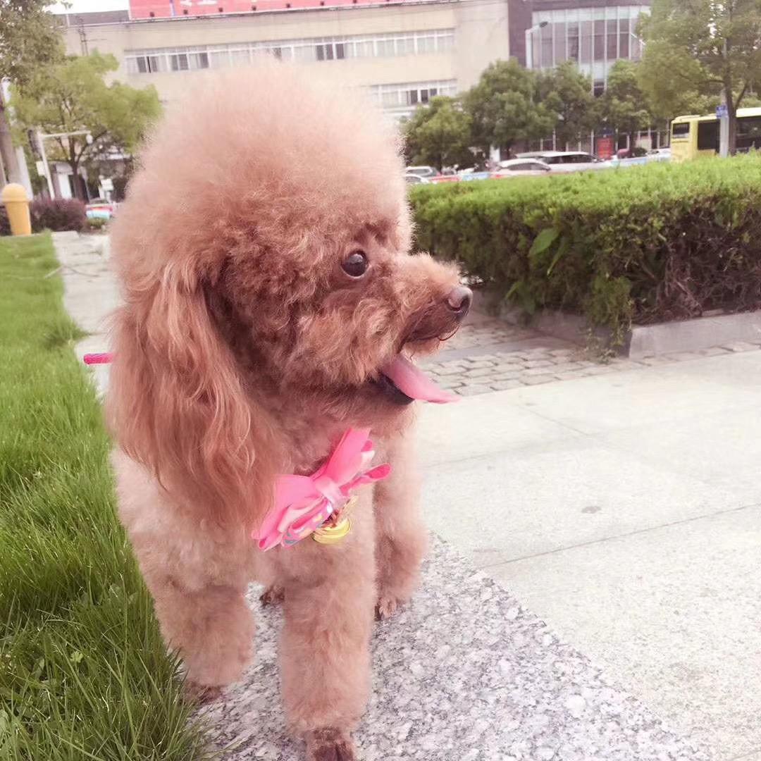 乐乐宝贝
