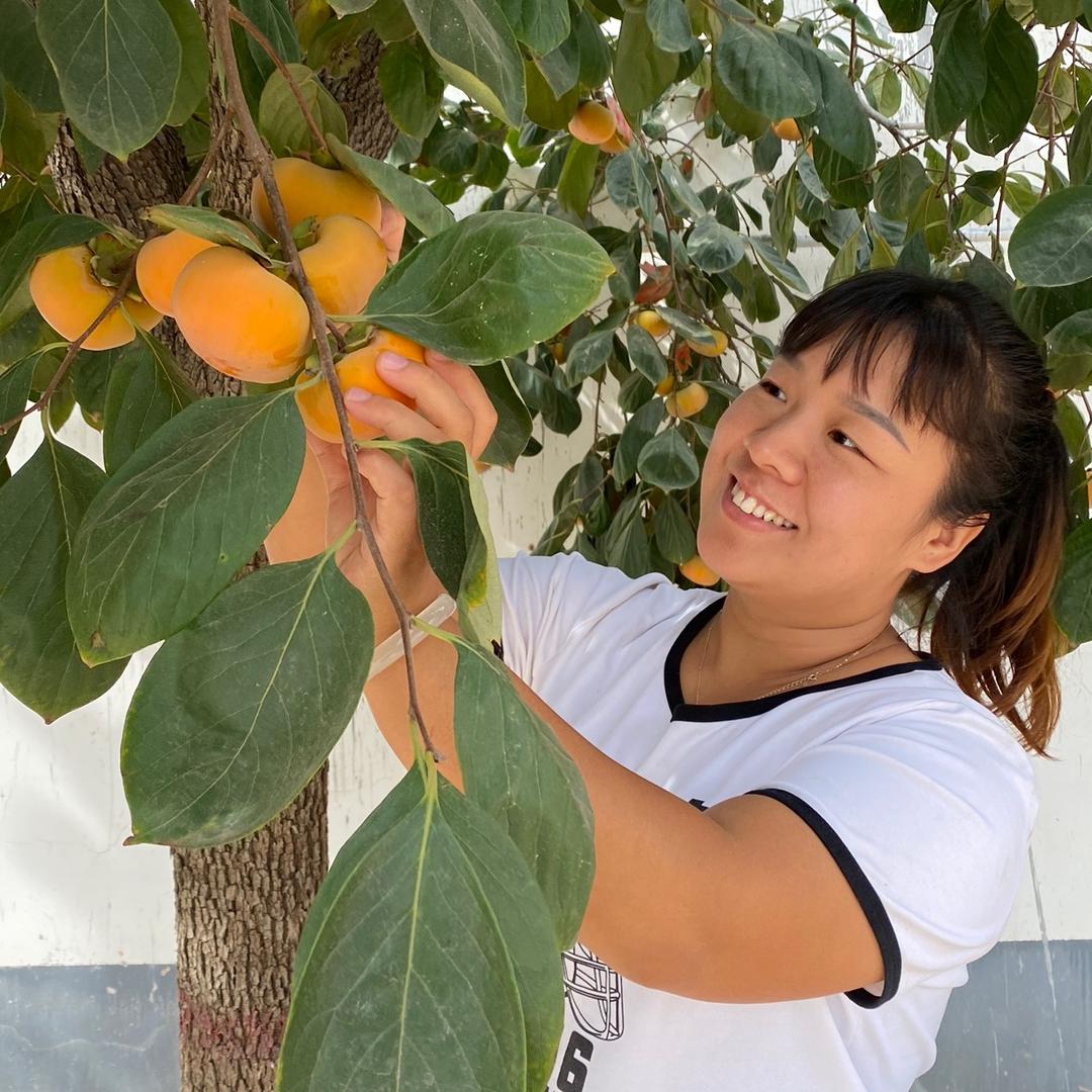 乡村妞妞12号内蒙新小米