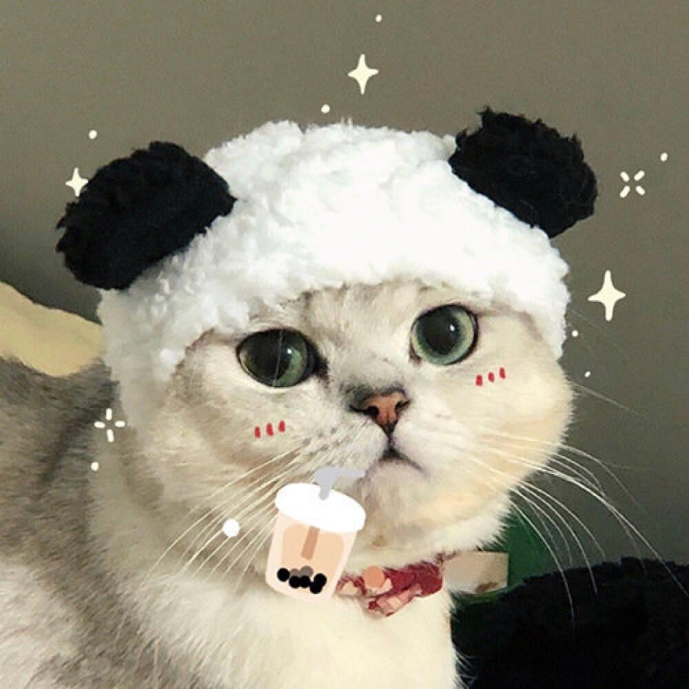 ꕥ᭄周➕໊ഒᩚ廖໊💞࿐