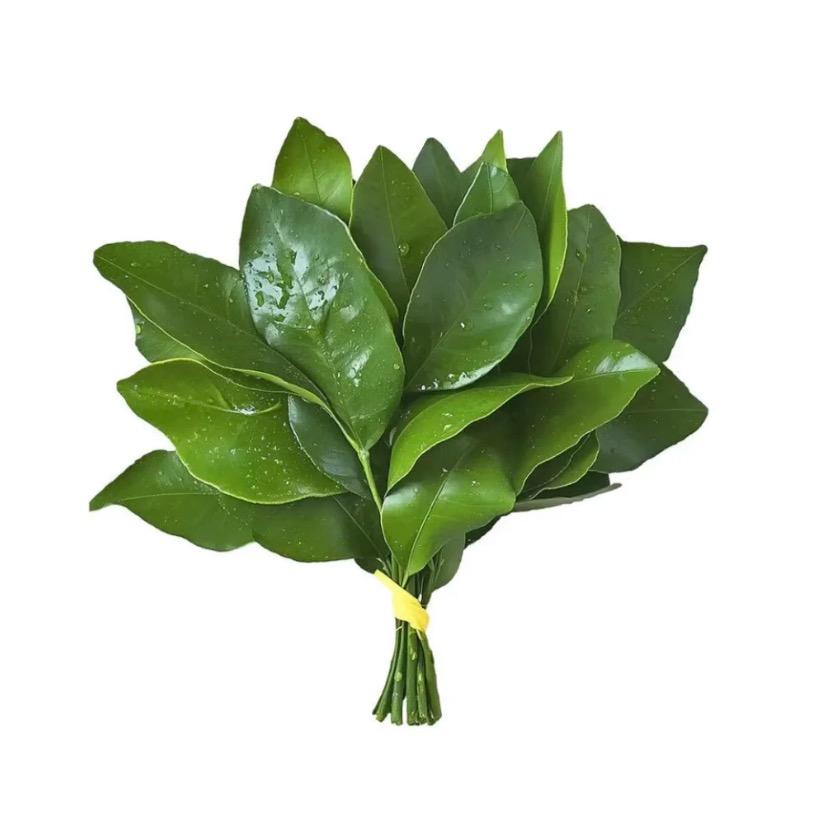 花开富贵︀