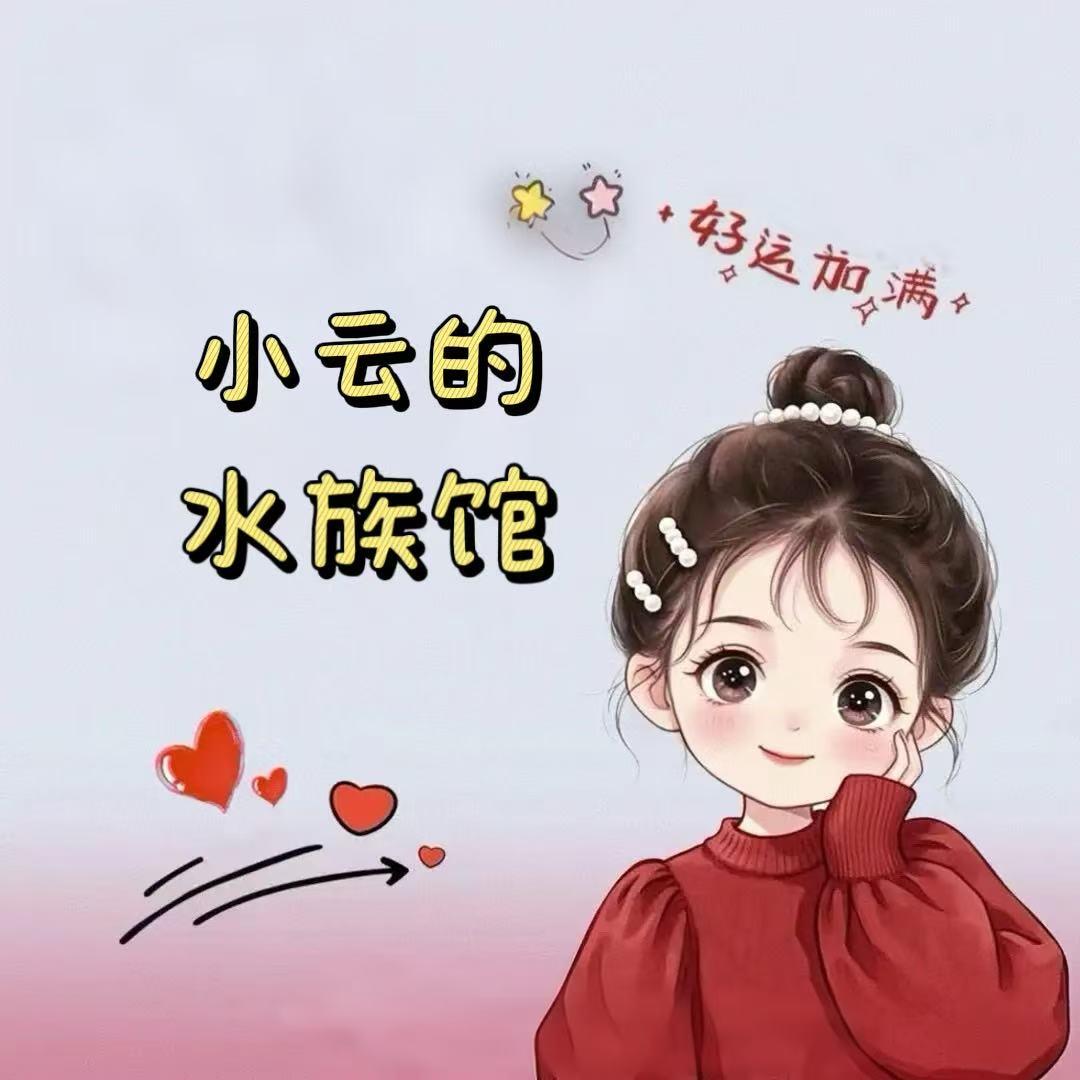 小云的水族馆