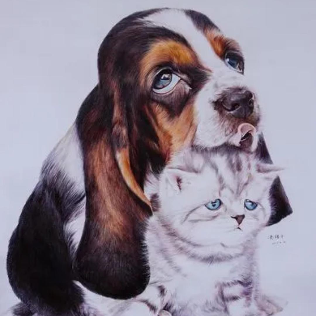 吉首市嘉仁宠物店