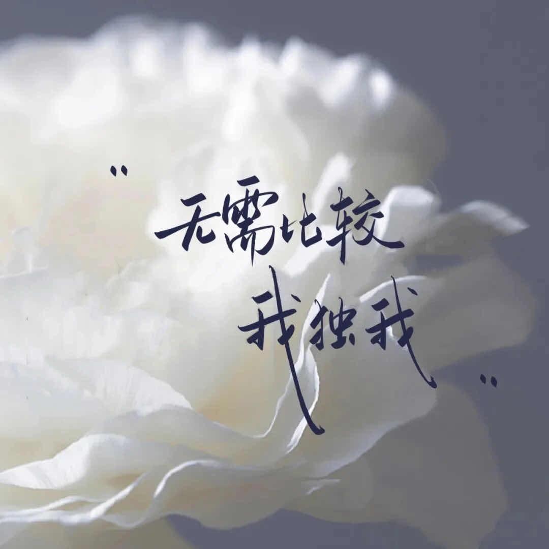 宁负天下不负卿⁷¹⁸