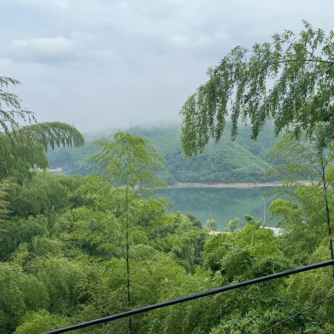 小王老师（猫狗宠物健康）