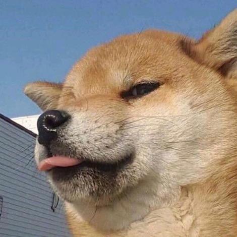 富贵花开