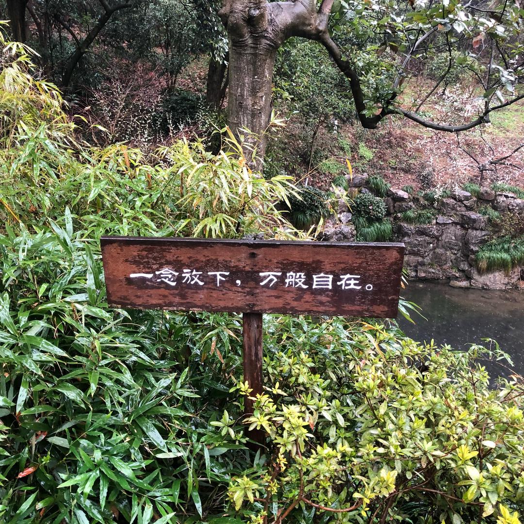 笑看人生