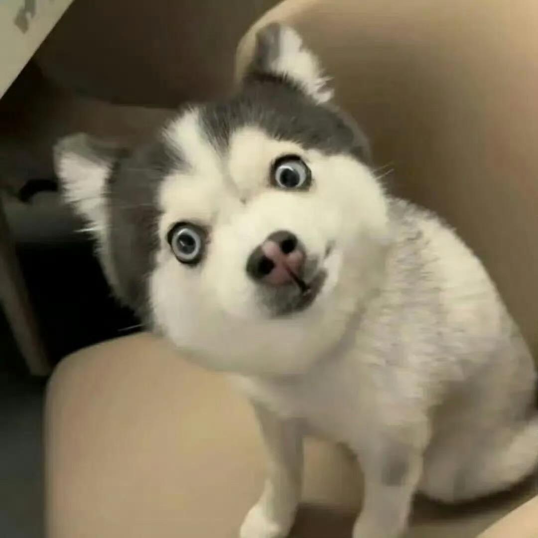 一罐椰冰