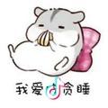 煎饼果子子