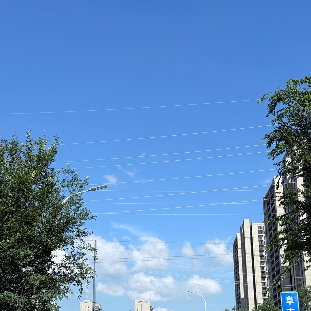 北外新华小胡老师