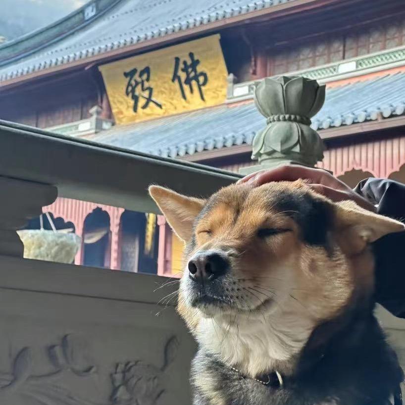 我叫陈锦昊你叫什么