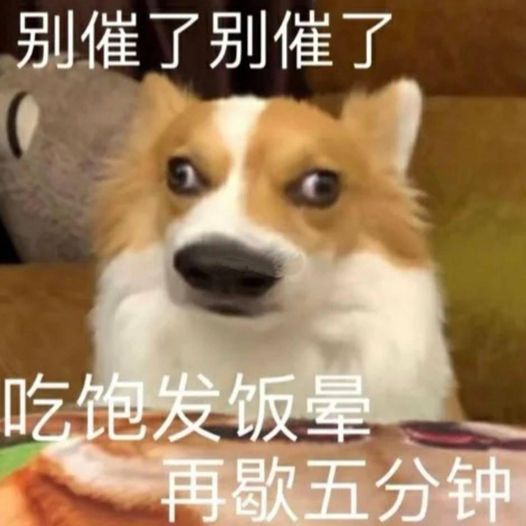 地烫