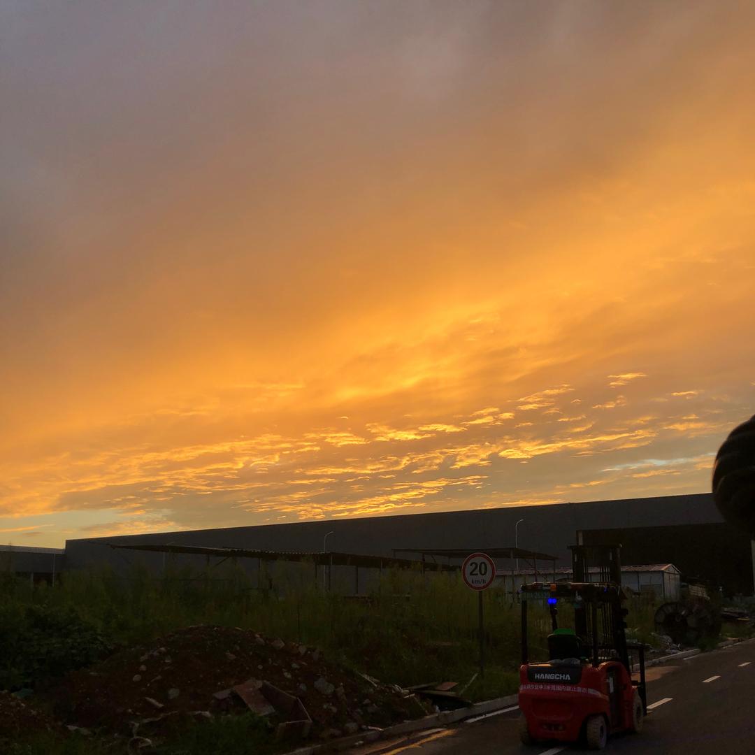 狼行千里只为肉