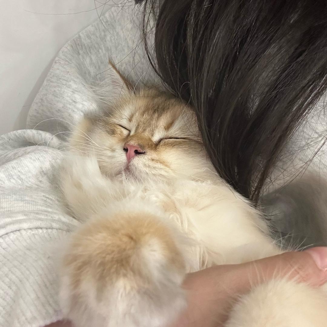 记得早睡！