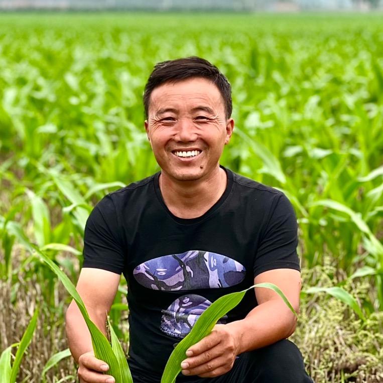 村头伍哥