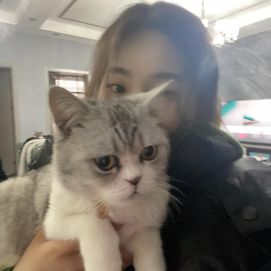 天天