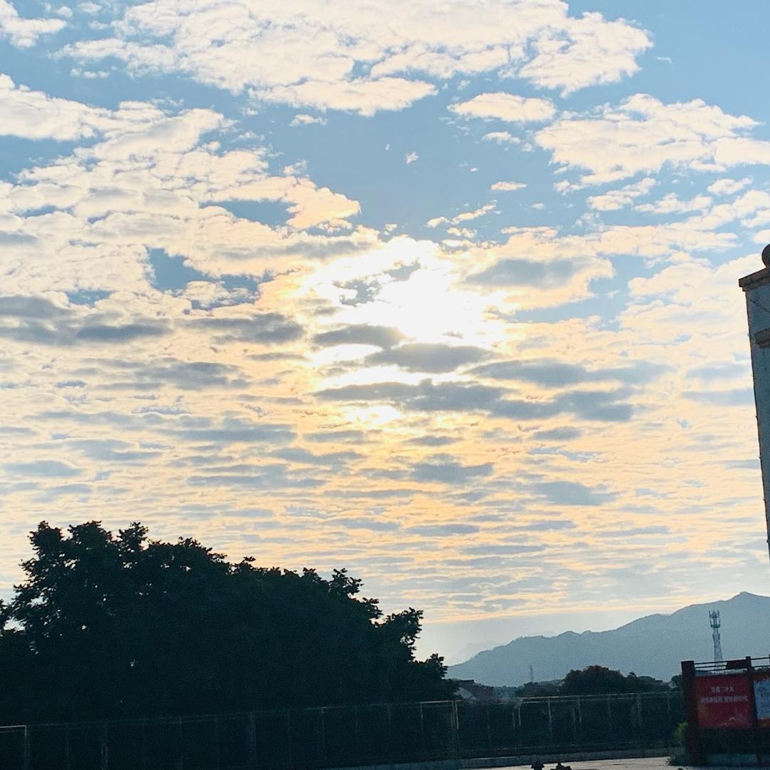 呆呆很好骗ི♡ིི