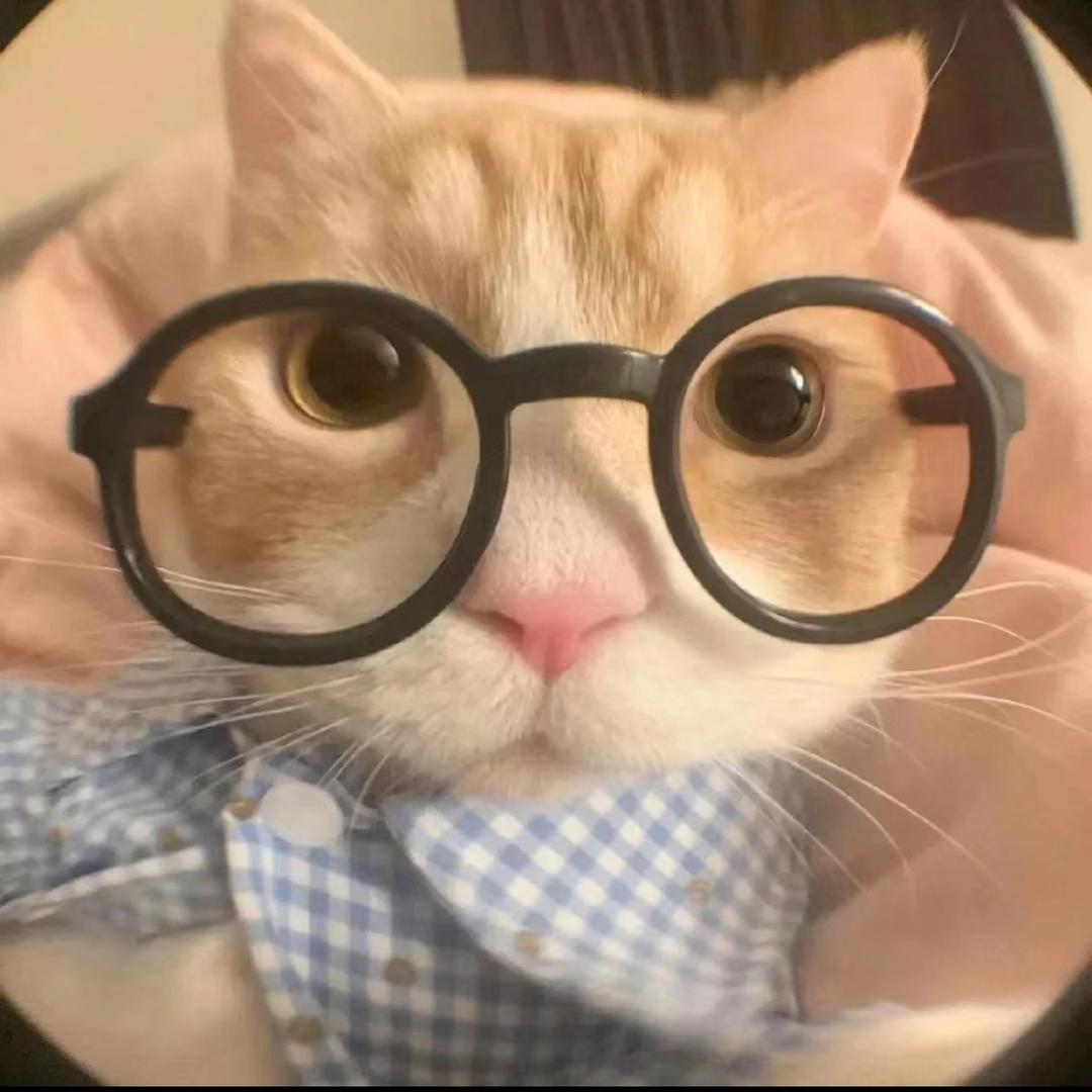 猫meme小帅