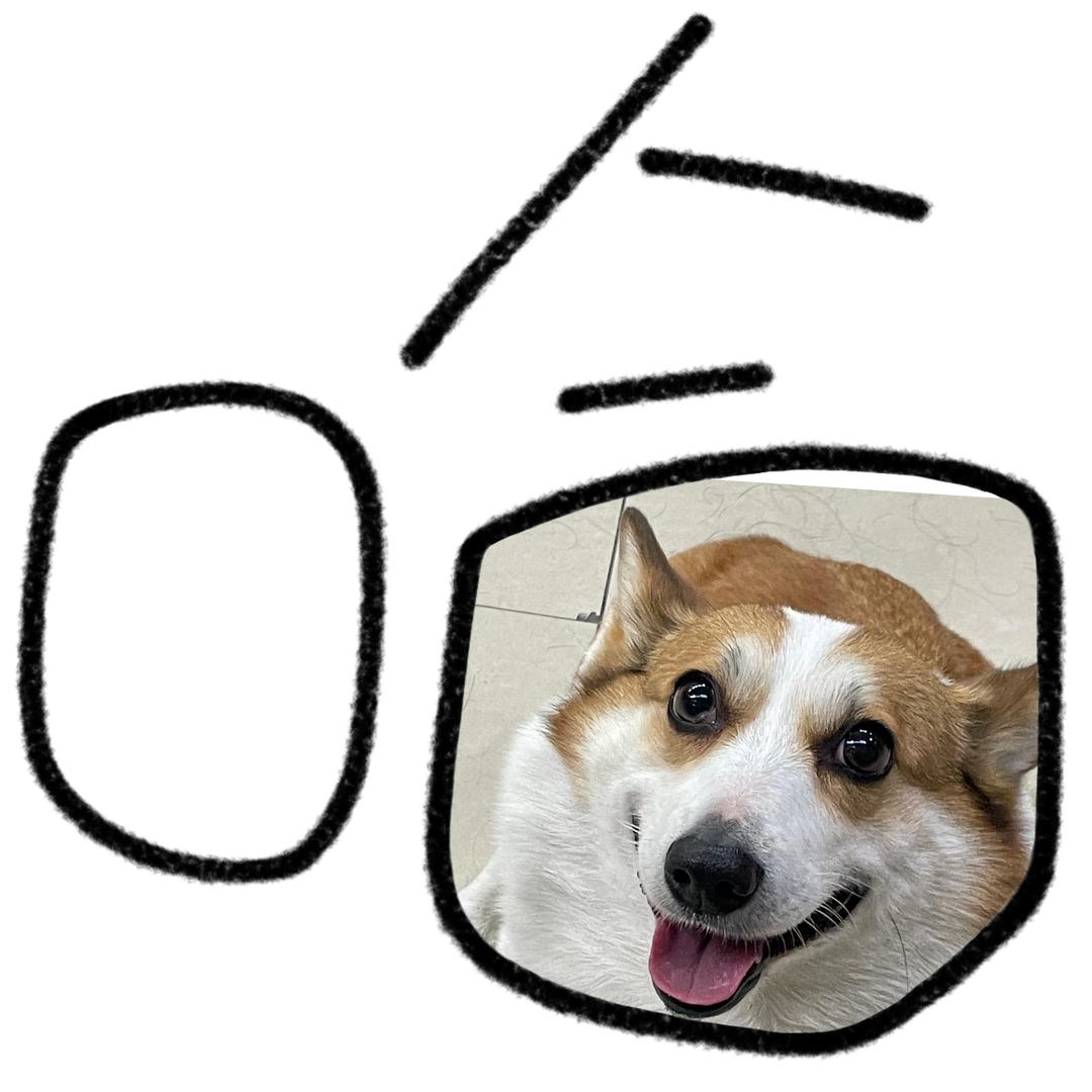 求求快吃吧！