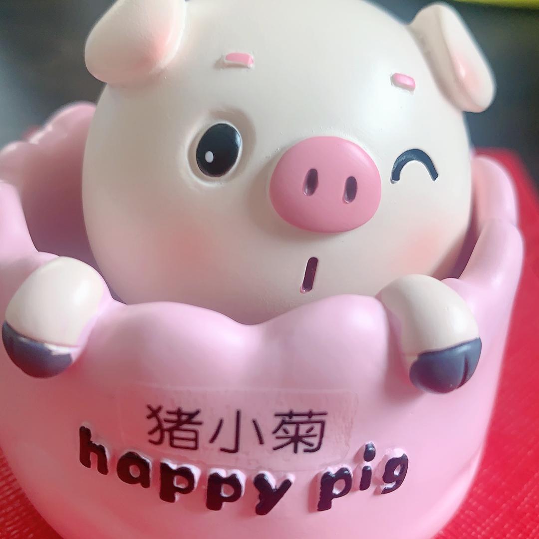 猪小菊泰州启辰电子商务有限公司调味品专卖店