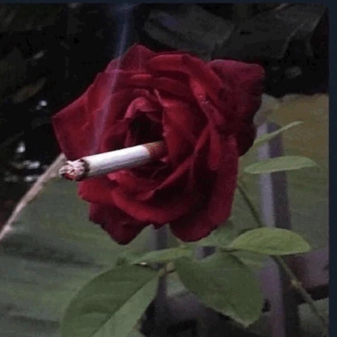 妻晨讨厌尬聊