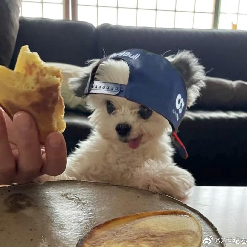 小E（解封版🤌🏻）