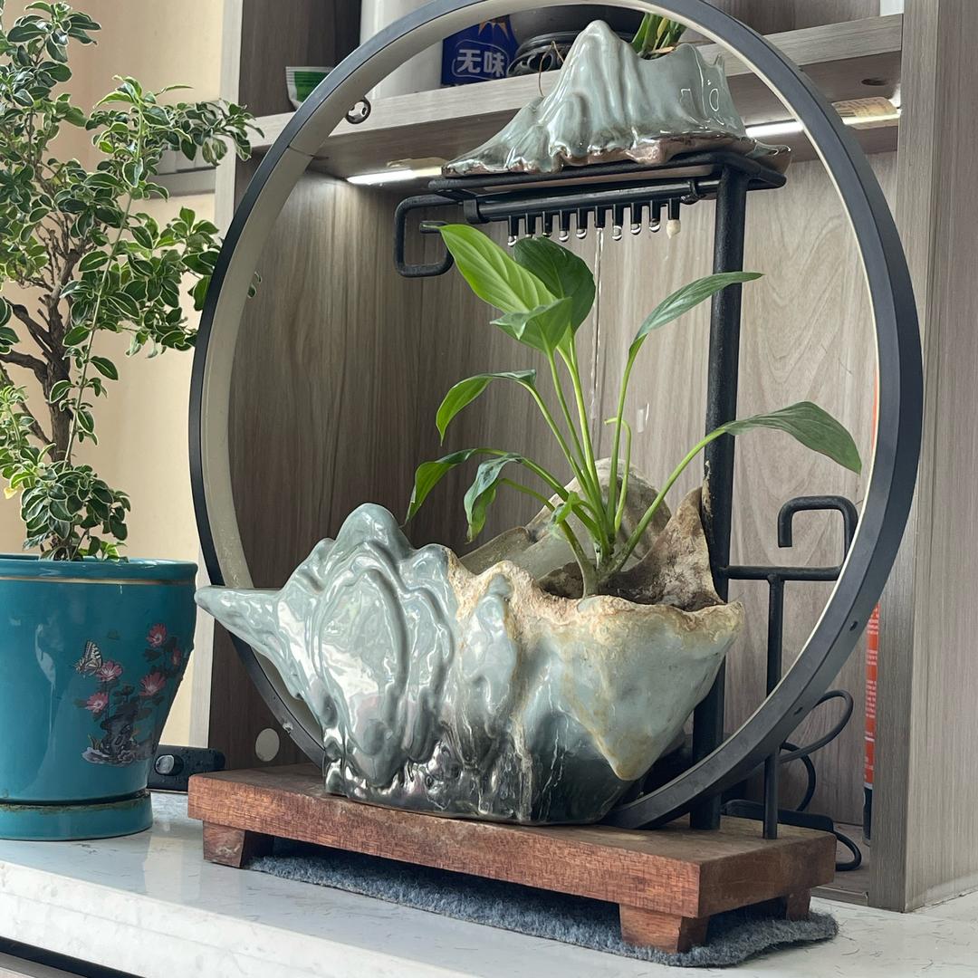 用户