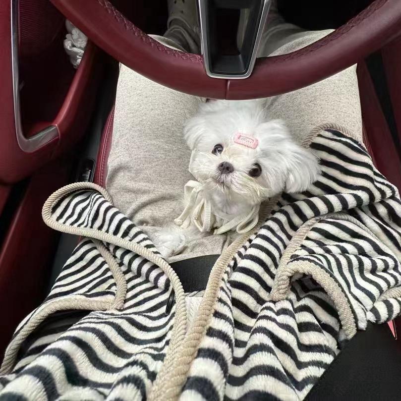 ꒰১ ໒꒱ ⁺₊