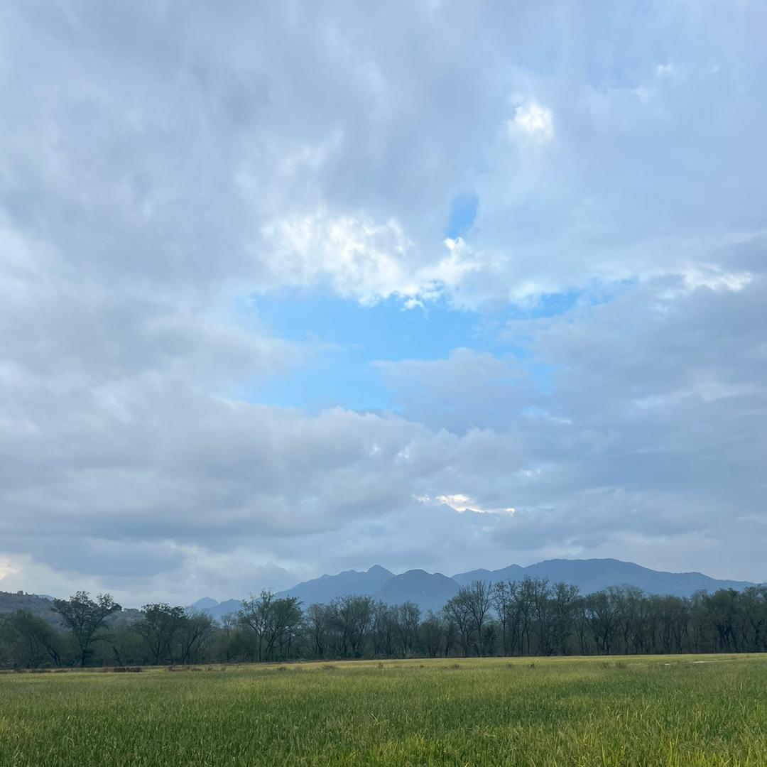 卖灰板的小老弟