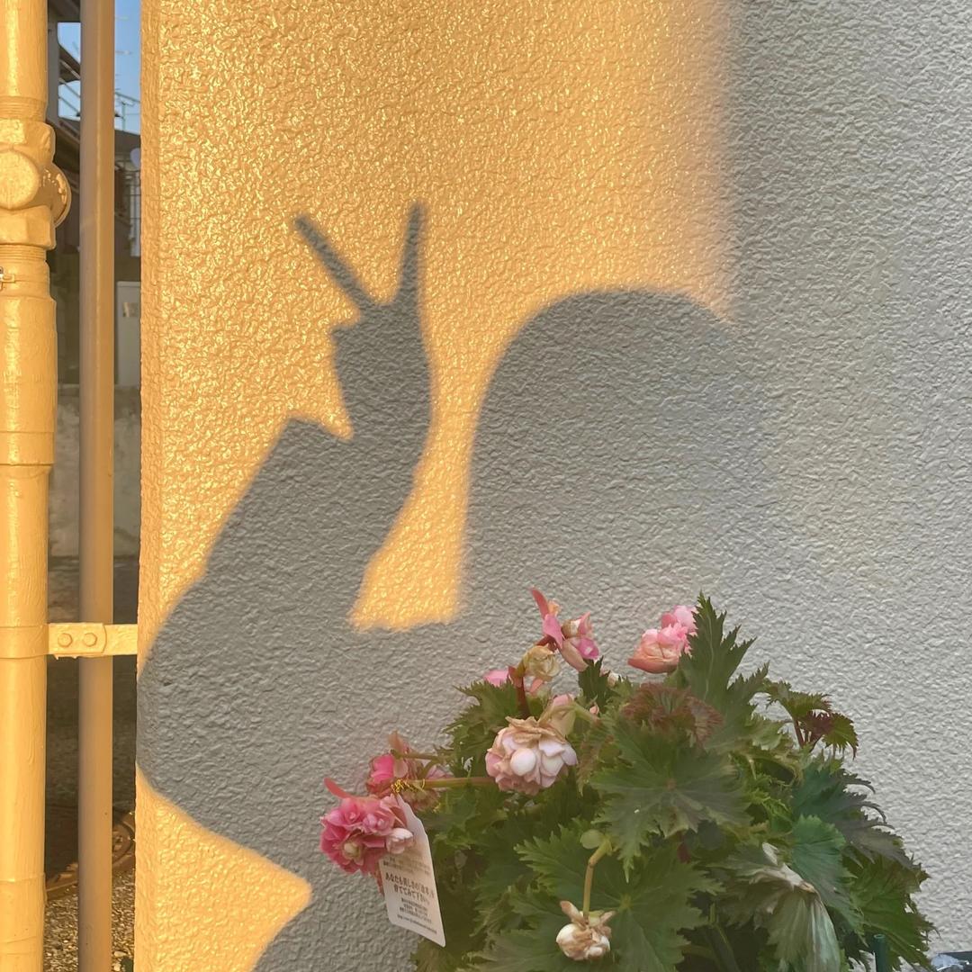 阿珍